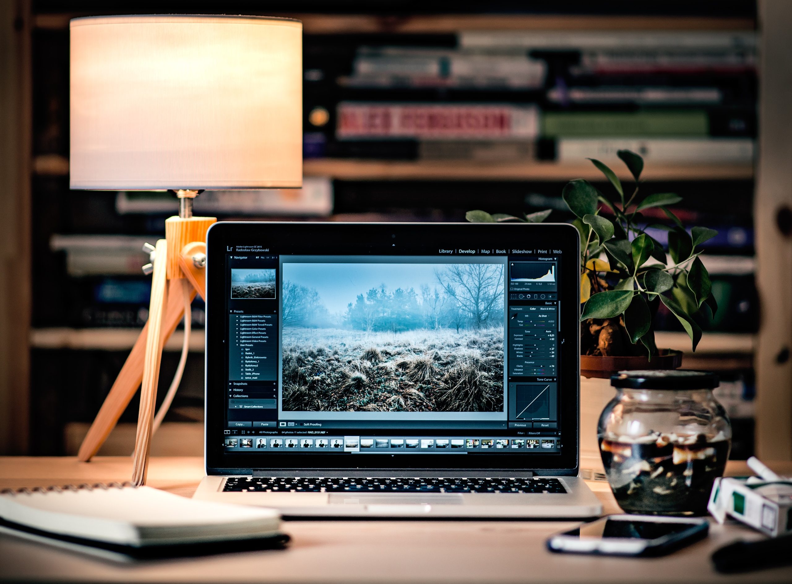 Foto de Radek Grzybowski en Unsplash