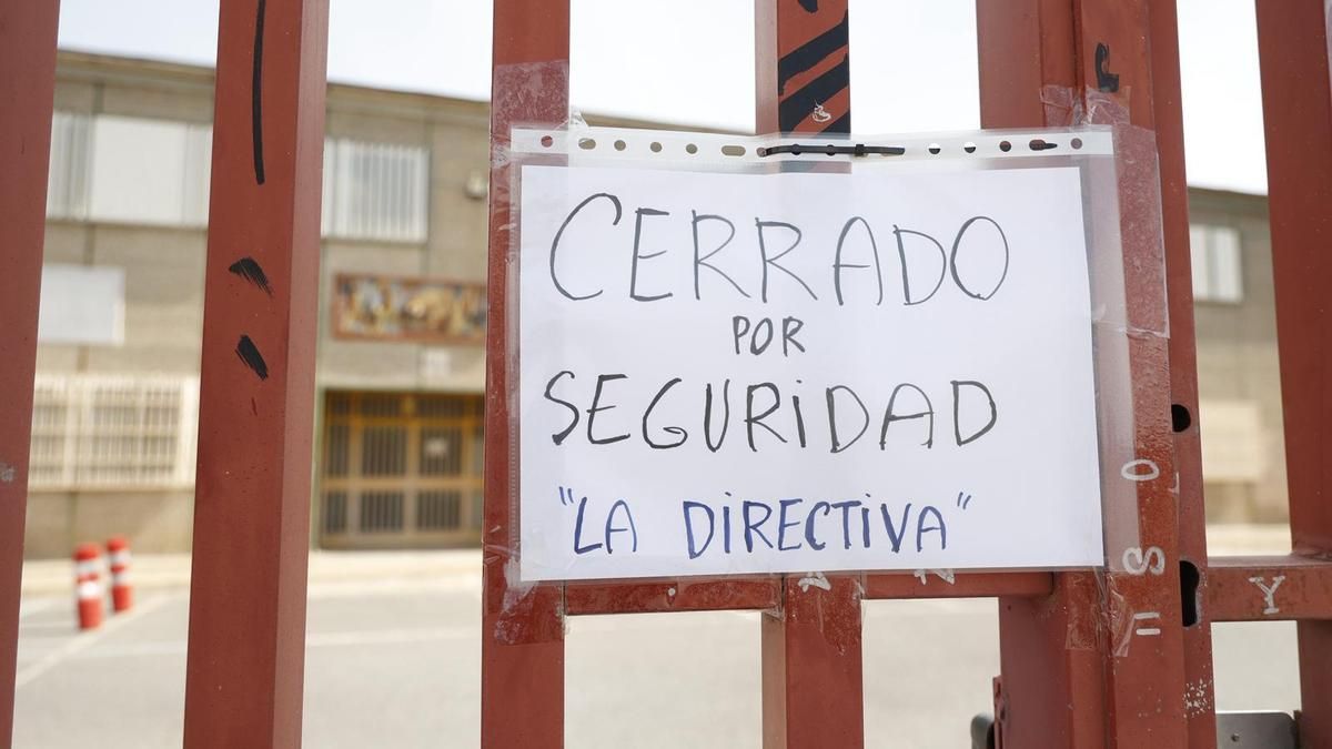 La Escuela de Arte y Superior de Diseño de Alicante suspende las clases presenciales por una plaga de pulgas