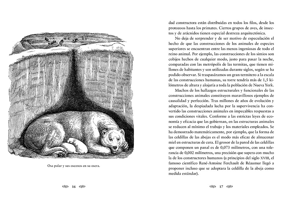 Animales arquitectos | Juhani Pallasmaa - Imagen 4