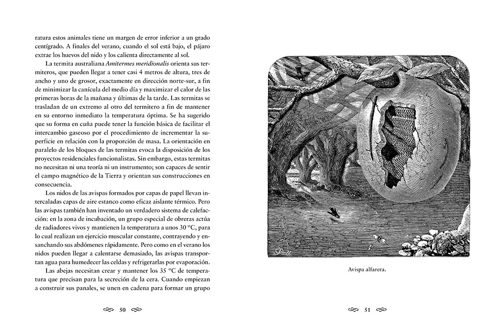 Animales arquitectos | Juhani Pallasmaa - Imagen 3