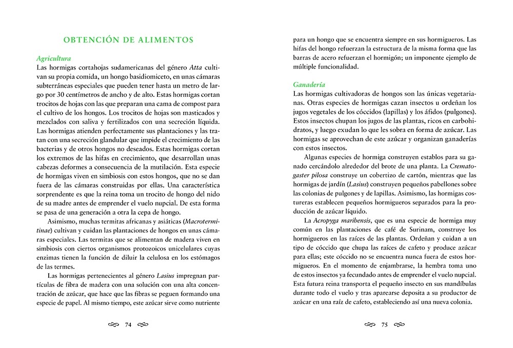 Animales arquitectos | Juhani Pallasmaa - Imagen 2