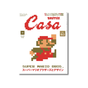 Casa Bruts Nº 308 - Super Mario Bros
