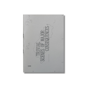 TSMC: Trivial Scenes of Major Consequences | Irene Izquierdo